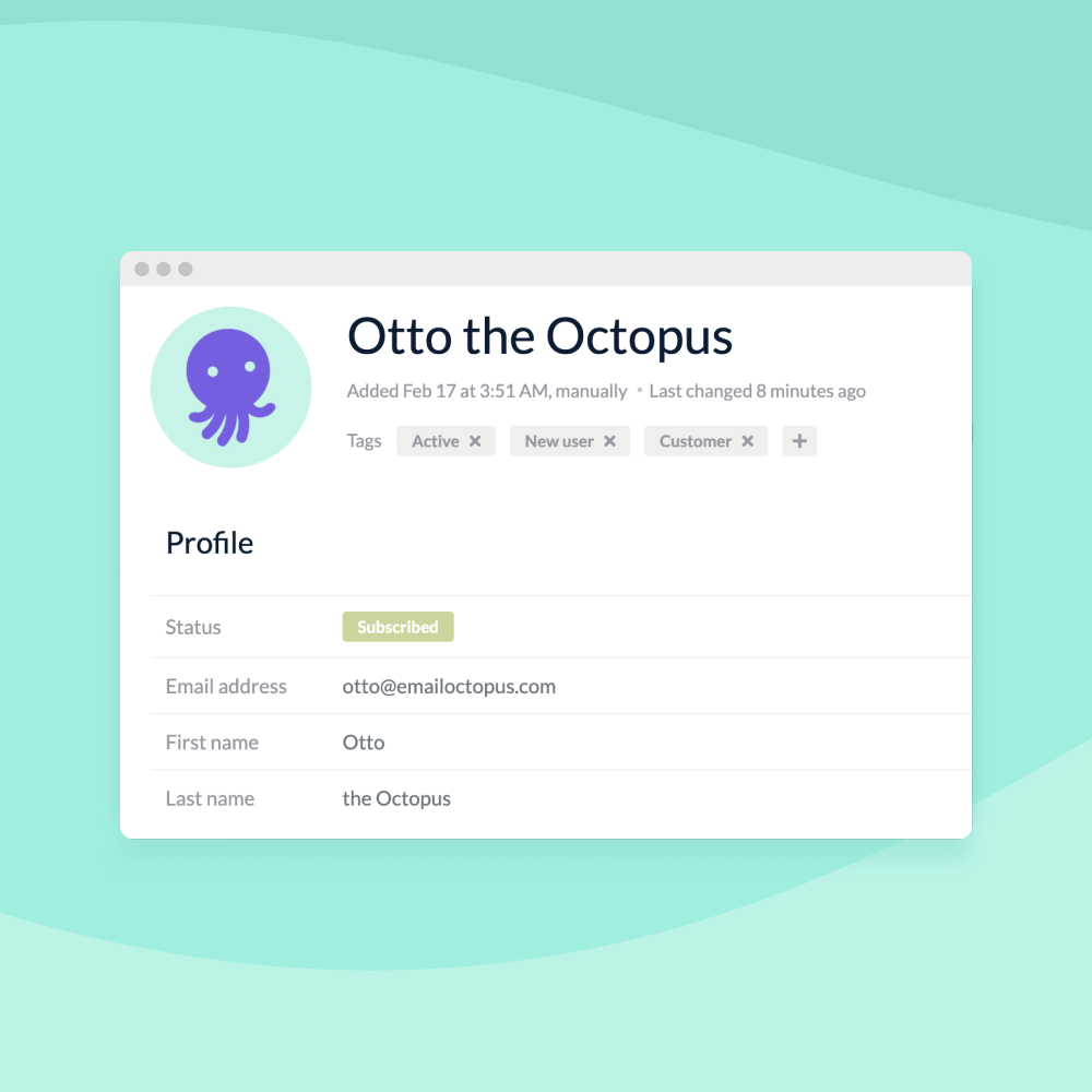 Preview image for: New: Tag your contacts in EmailOctopus