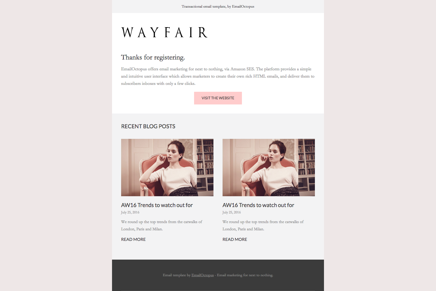 screencapture-file-Users-Tom-Documents-EO-Wayfair-20by-20EmailOctopus-textemail-html-1466690039186